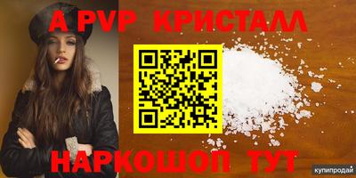 спиды Гусев