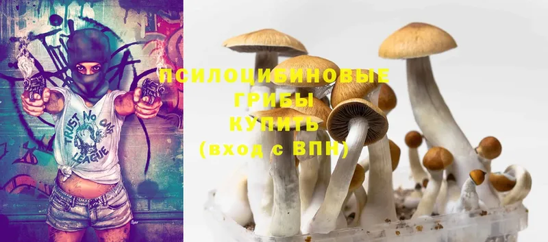 Псилоцибиновые грибы Magic Shrooms  Орск 