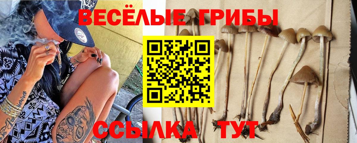 Орск  Галлюциногенные грибы мицелий  Вход с VPN  Галлюциногенные грибы прущие грибы 