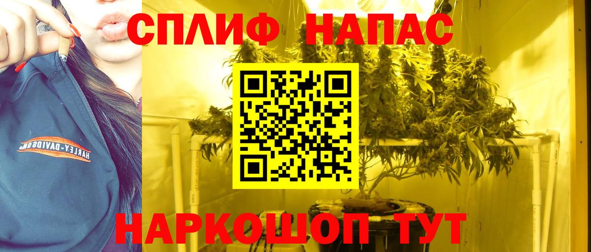 Бошки марихуана план  Конопля Bruce Banner  Марихуана сатива  Бошки Шишки индика  Орск 